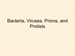 Bacteria, Viruses, Protists, and Prions