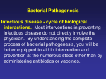 bacterial Pathogenesis