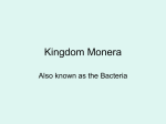 Kingdom Monera