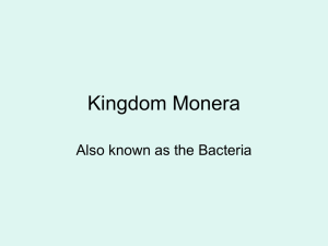 Kingdom Monera