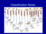 Classification Notes - Valhalla High School