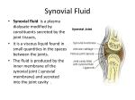 Synovial fluid