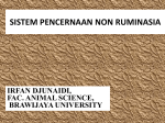 SISTEM PENCERNAAN UNGGAS