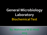 Biochemical Test By: Mahmoud W El