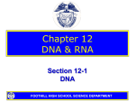 12-1 DNA