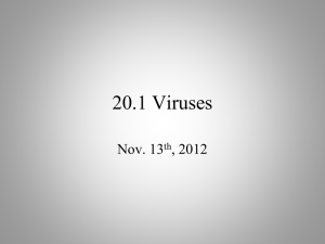 20.1 viruses - OG