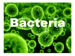 Bacteria and virus ppt