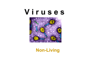 viruses - Images