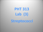 lab 2 PHT313 latest..