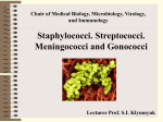 Staphylococci, Streptococci, Meningococci, Gonococci