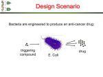 Synthesizing Stochastic Biochemistry