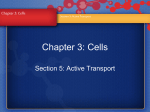 Chapter 3: Cells