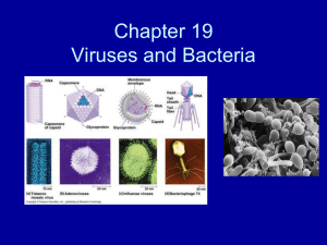 Viruses and Bacteria - Fort Bend ISD / Homepage