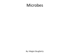 Microbes - msetclass