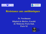 Résistance aux antibiotiques revue générale