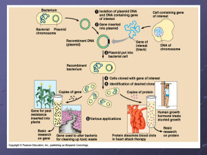 AP-ppt-PCR