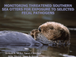 seaotterpathogentalk..