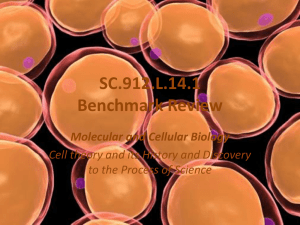 Cell Theory - Teacher Pages