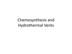 What is chemosynthesis? - Port Fest Baltimore 2015