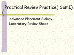 lab practical review