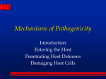 Bacterial Classification