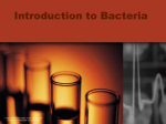 Bacteria PPt Notes