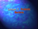 Lecture 8: Probiotic Bacteria