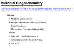 Microbial Biogeochemistry