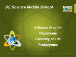 Prokaryotes PPT