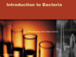 introduction_to_bacteria_02