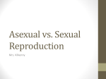 Asexual vs. Sexual Reproduction