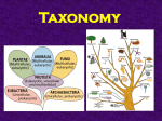 Taxonomy Notes