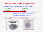 Classification of Microorganisms: