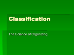 Classification