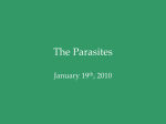 Parasites