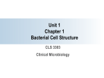 Chapter 1 Introduction to Microbiology