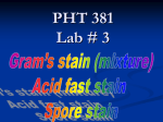 LAB 3 - Home - KSU Faculty Member websites