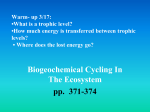 Biogeochemical Cycling In The Ecosystem pp. 371