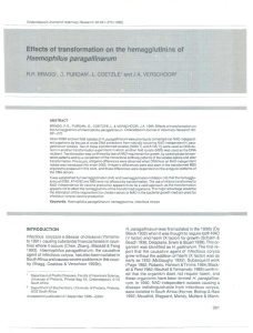 Effects of transformation on the hemagglutinins of Haemophilus paragallinarum L. R.R.  BRAGG