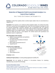 Detection of Magnetic Field Concentrated Analytes in a Lateral Flow Capillary