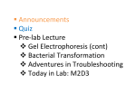  Announcements  Quiz  Pre‐lab Lecture  Gel Electrophoresis (cont)