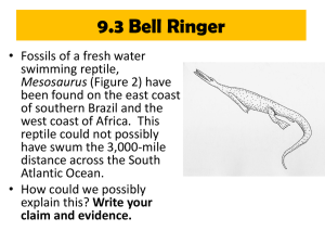 Freshwater reptile Mesosaurus