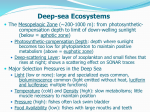 Subphylum Vertebrata – Early Vertebrates and