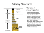 Chapter 2 e Primary Structures e