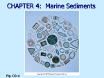 Chapter 4: Marine sediments