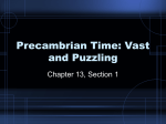 Precambrian Time: Vast and Puzzling