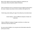 Geological Provinces of the Ocean III