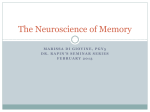 The Neuroscience of Memory - Albert Einstein College of