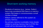 working memory