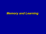 Learning and Memory